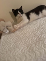 /album/268/whatsapp-image-2026-04-28-at-18-59-53-6-jpeg/